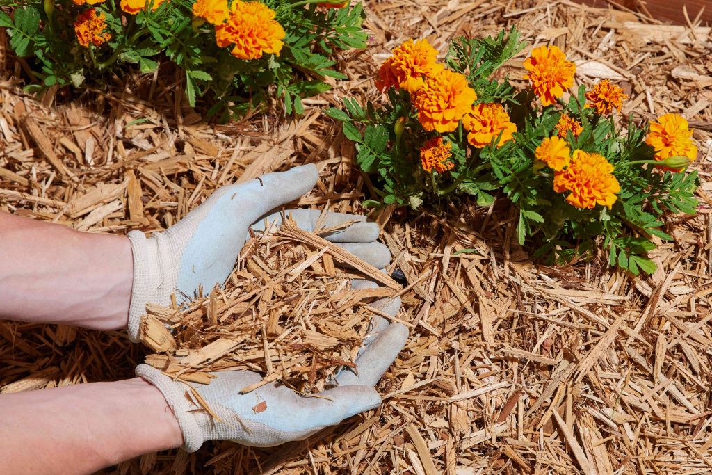 mulch delivery company in cincinnati