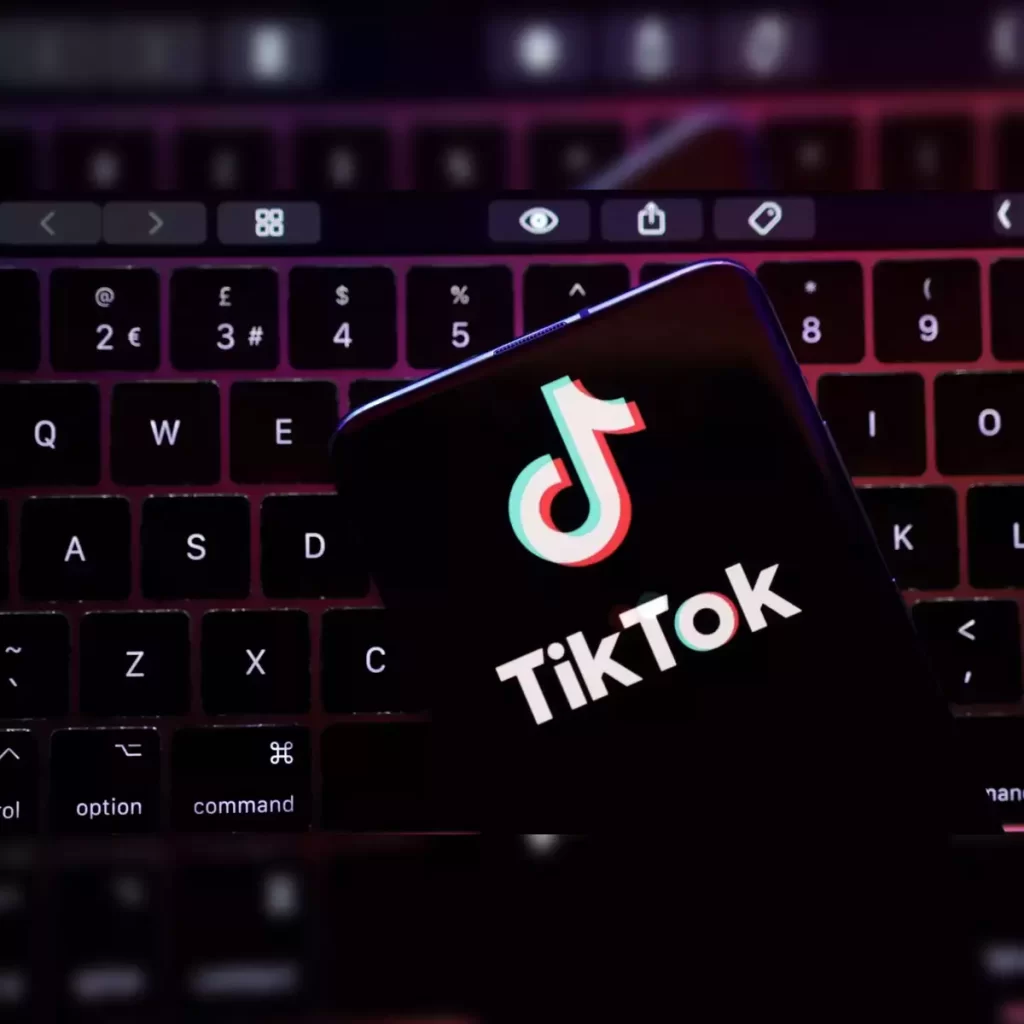 tiktok downloader
